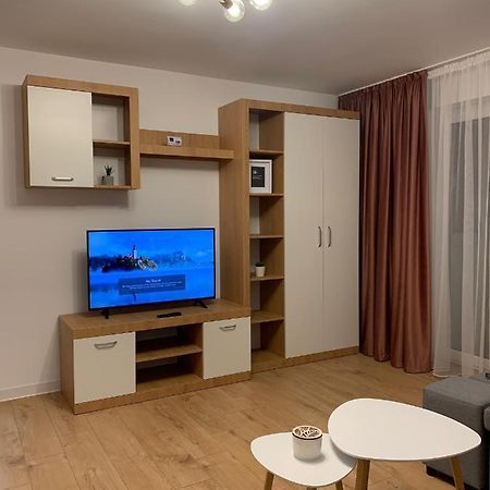 Sunny Apartment In Suceava Eksteriør billede